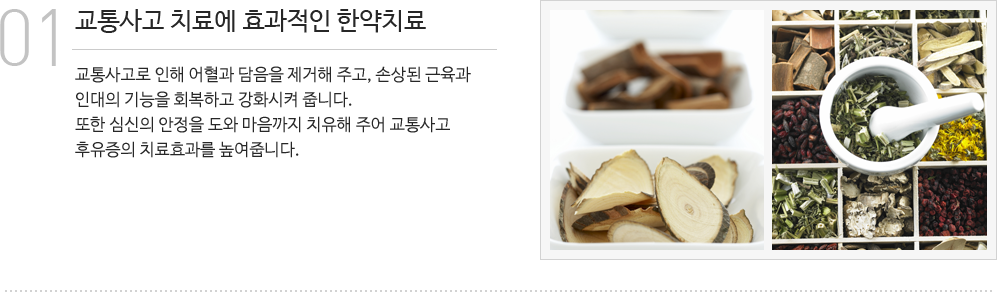 한약치료