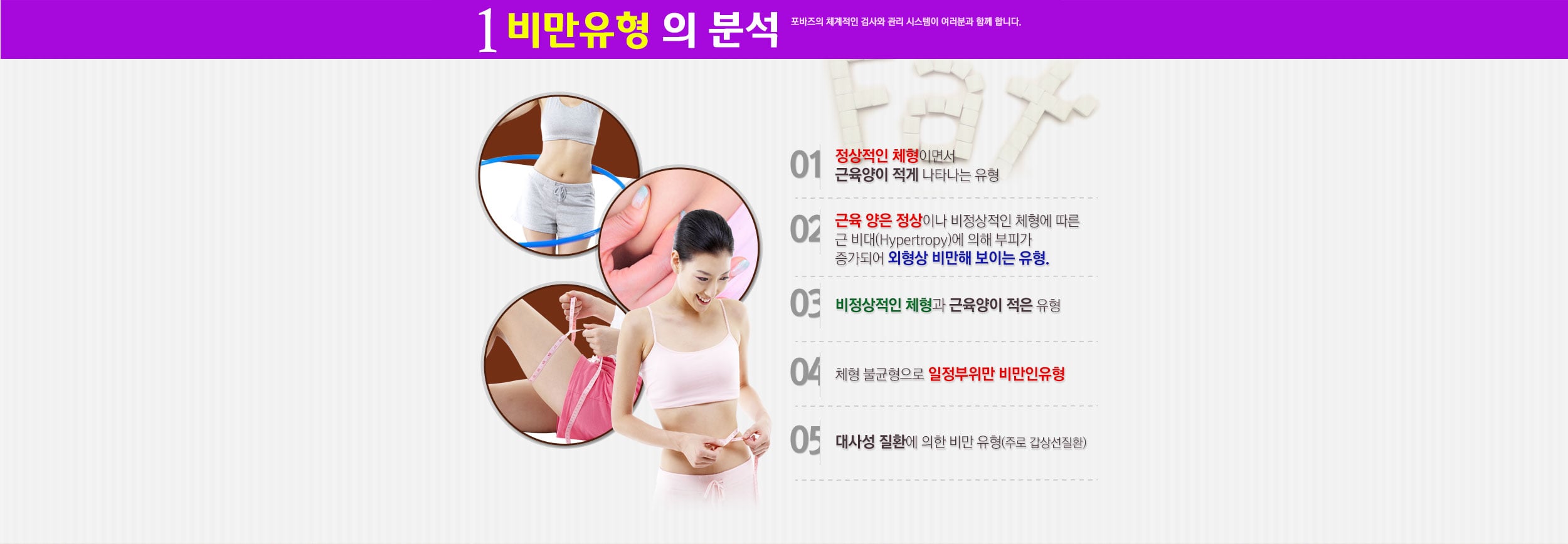 비만 유형