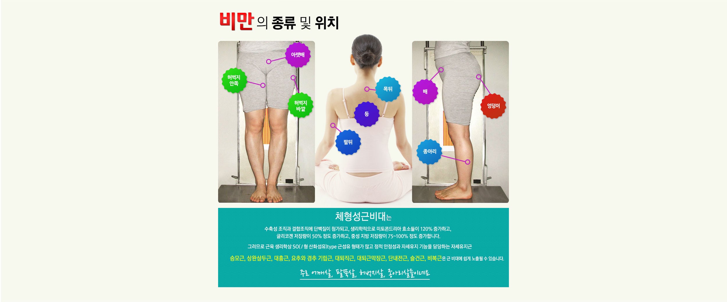 종류 및 위치