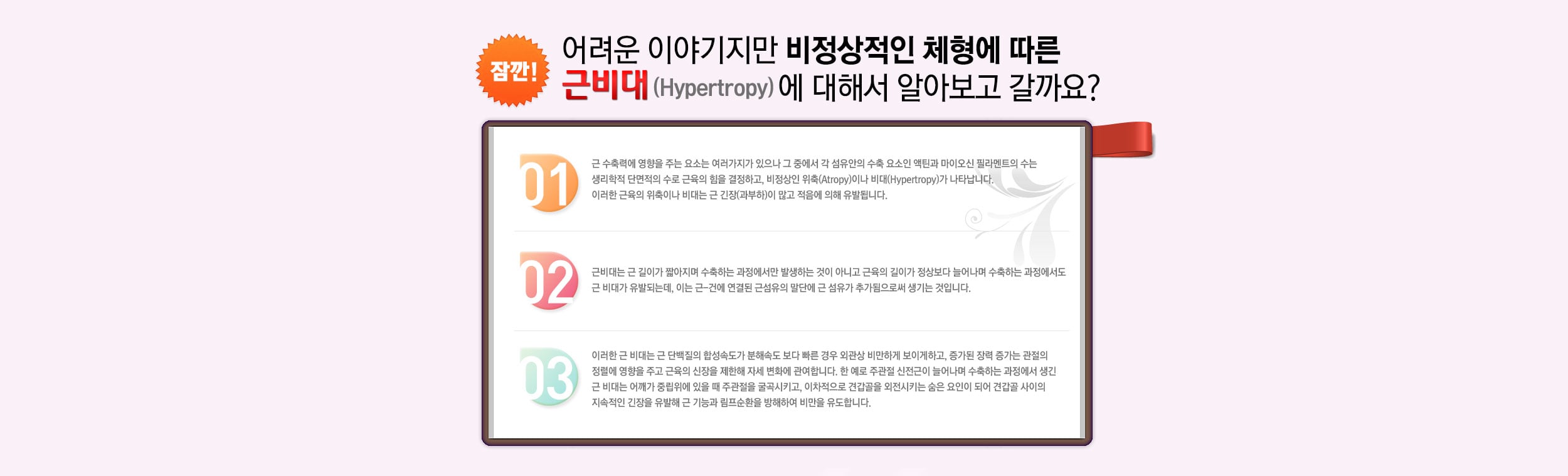 근비대