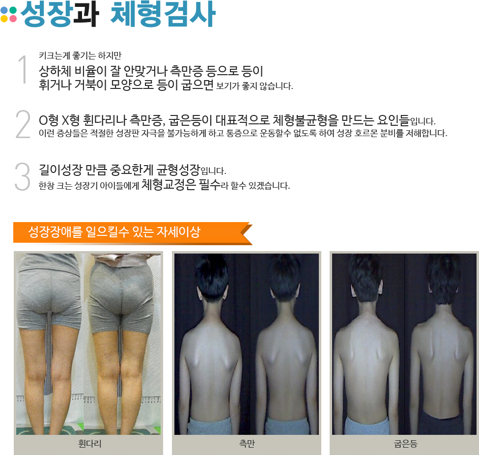 성장과 체형교정