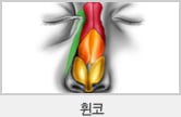 휜코