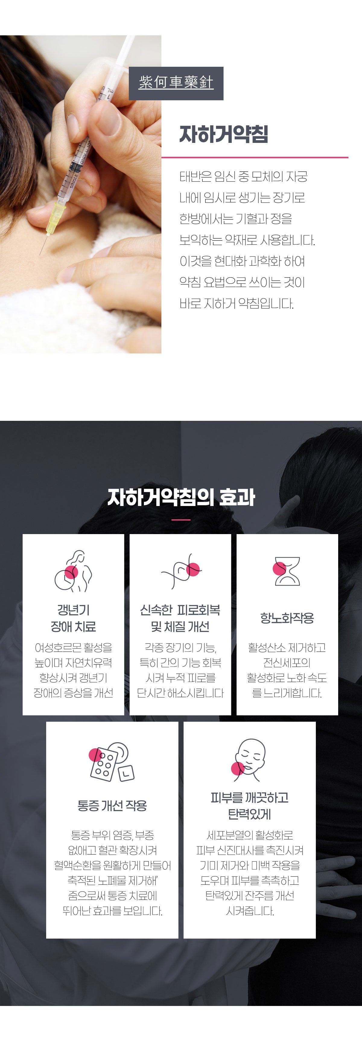 자하거 약침
