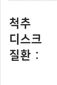 척추 디스크 질환