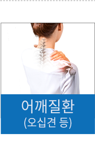 어깨질환 (오십견 등)