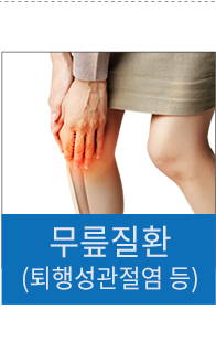 무릎질환 (퇴행성관절염 등)