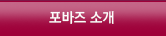 포바즈 소개
