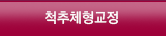 척추체형교정
